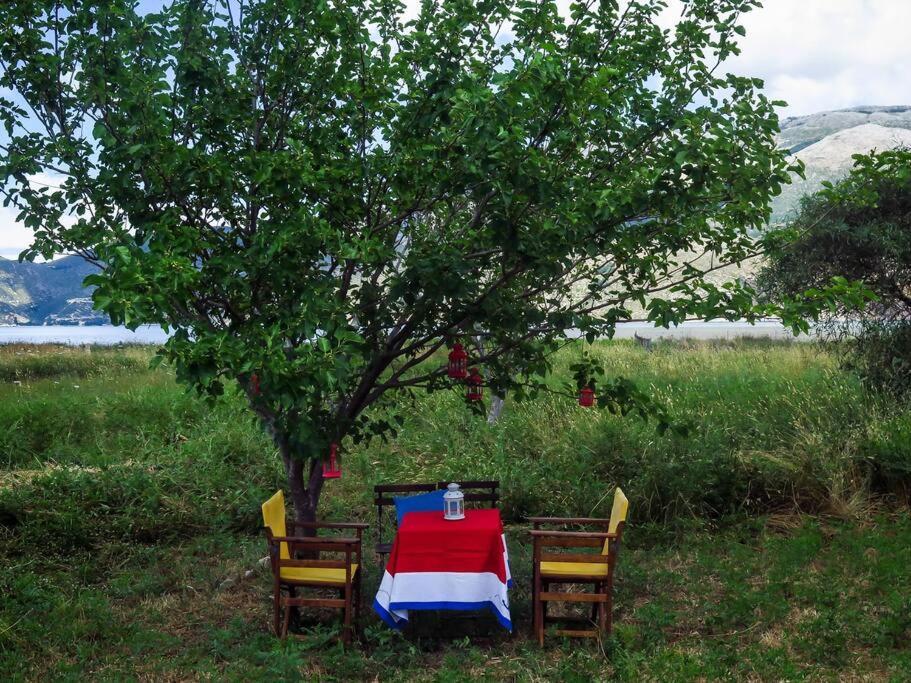 Villa Rania: Ευάερη Βίλα Με Θέα Τη Θάλασσα Lixouri Luaran gambar