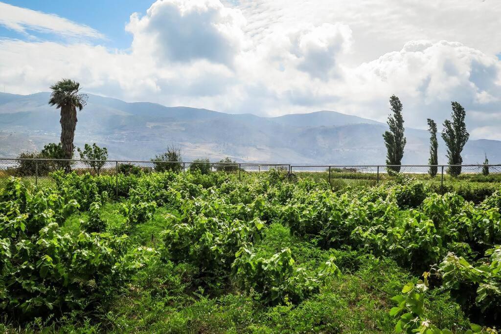 Villa Rania: Ευάερη Βίλα Με Θέα Τη Θάλασσα Lixouri Luaran gambar